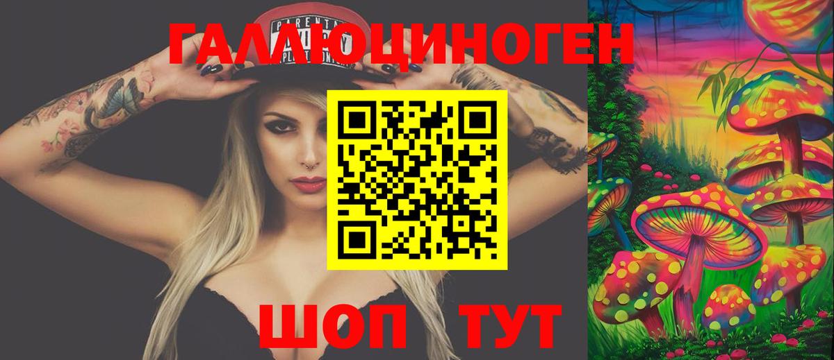купить наркотики сайты  Вход с VPN  Каменка  Галлюциногенные грибы Magic Shrooms 