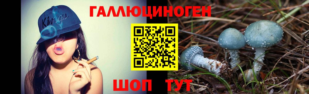 Галлюциногенные грибы мицелий Каменка