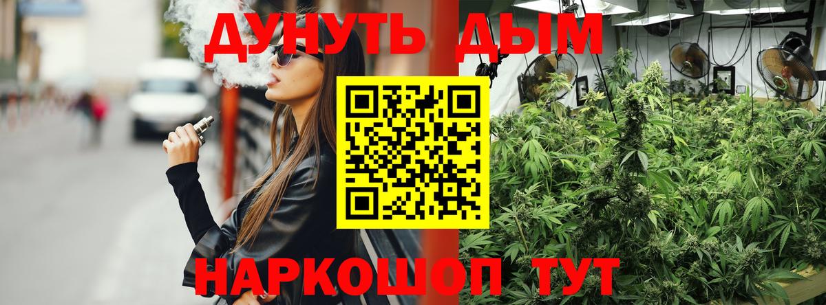 Конопля ГИДРОПОН  Марихуана сатива  Вход с VPN  Каменка  Бошки Шишки Bruce Banner  Бошки марихуана сатива 